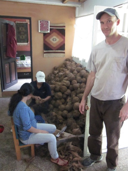 CocoCarlInHome1