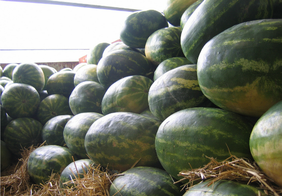 FoodWatermelonBIG