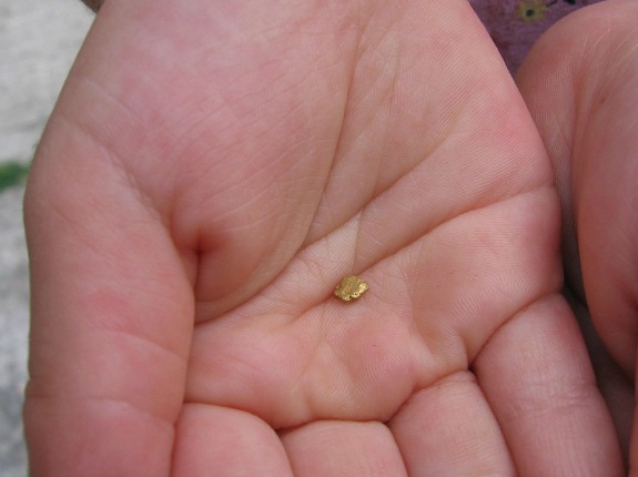 GoldInHand1
