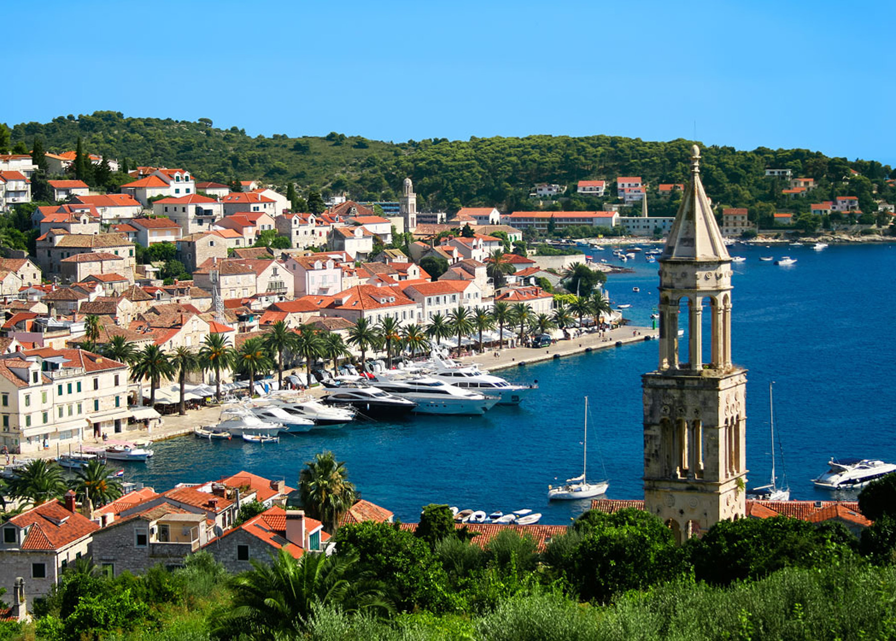 Harbor in Hvar, Croatia