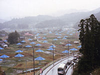 200px-umbrella_project1991_10_27.jpg