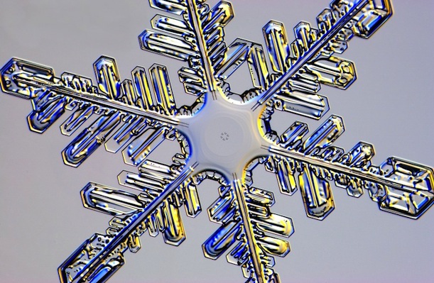 The Art and Science of Growing Snowflakes in a Lab, Science