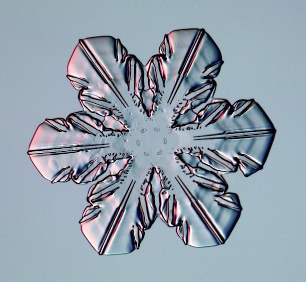 The Art and Science of Growing Snowflakes in a Lab