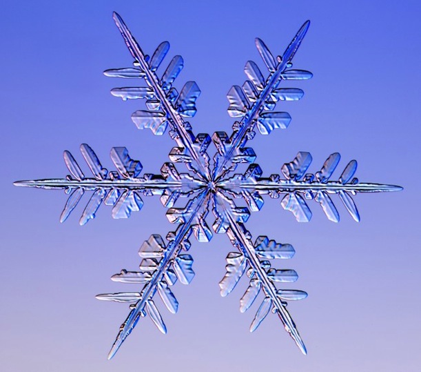 Make a Virtual Snowflake - Canadian Museum of Nature