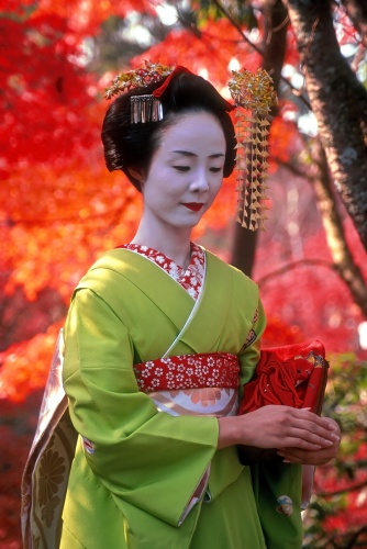 A Traditional Geisha in Japan   Photo by Tracey Taylor