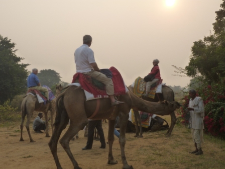 Camelback, Mystical India tour with Smithsonian Journeys