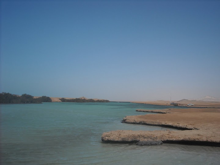 On the shores of the Red Sea. Photo: Leah Ibraheem